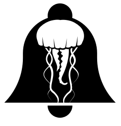 Vertical jellyfish in bell